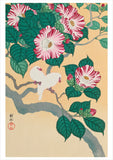 Ohara Shōson Boxed Notecard Assortment