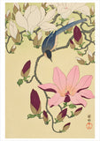 Ohara Shōson Boxed Notecard Assortment