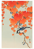 Ohara Shōson Boxed Notecard Assortment