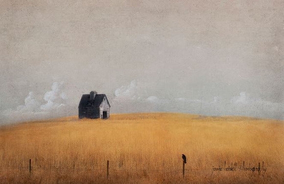 411 by Jamie Heiden