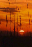 Sunrise Greeting Card by Tony Moline