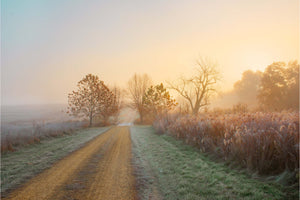 Casper Bluff Frost Photo Print by Hallie Bear