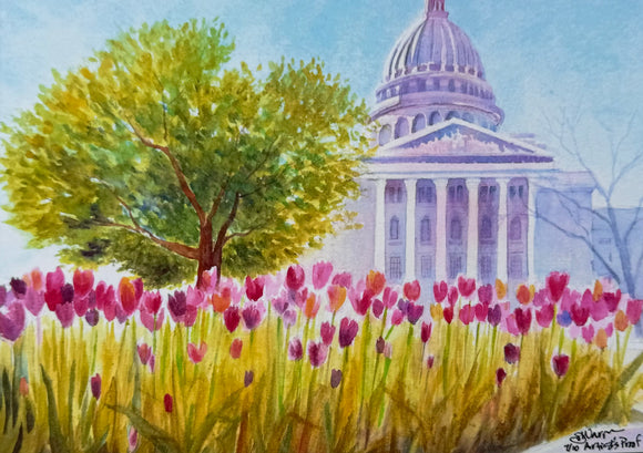 Capitol Tulips Reproduction by JoAnne Hauser Warren