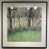 Woods' Edge - Spring by Brian McCormick
