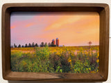 Golden Silos Framed Canvas Photo Art By Hallie Bear