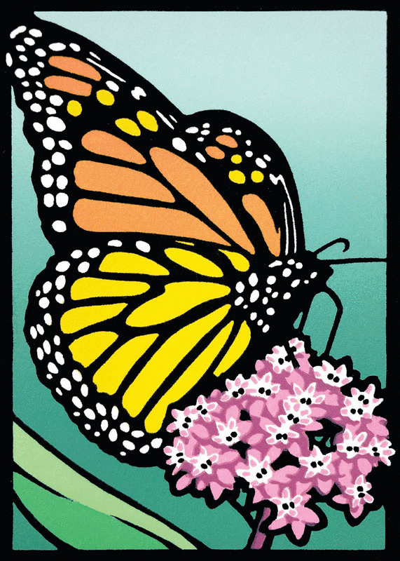 Monarch and Milkweed Blank Card from Artists to Watch