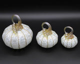 Aspen Pumpkins and Gourds by Corey Silverman