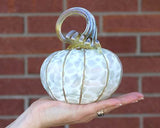 Aspen Pumpkins and Gourds by Corey Silverman