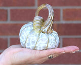 Aspen Pumpkins and Gourds by Corey Silverman