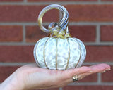 Aspen Pumpkins and Gourds by Corey Silverman