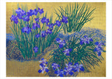 Joan Metcalf: Shimmer Boxed Notecard Assortment