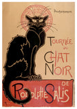 Black Cats Boxed Notecard Assortment