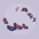 Butterflies 2027 Wall Calendar