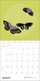 Butterflies 2027 Wall Calendar