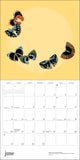 Butterflies 2027 Wall Calendar