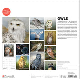 Owls: Jeannine Chappell 2027 Wall Calendar