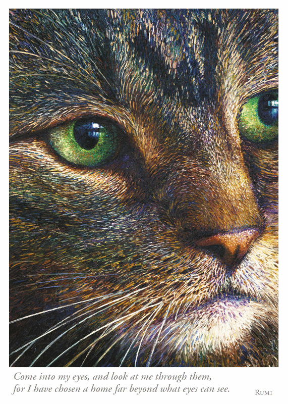 Tabby Pet Sympathy Card from Artists to Watch