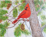 Crimson Pines by John McGee