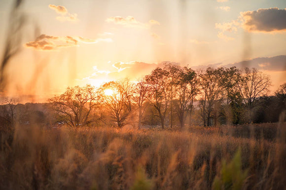 Casper Bluff in November Photo Print by Hallie Bear