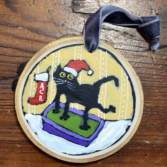 Litterbox Cat Ornament by David Hinds