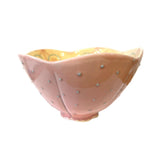 Bowl by Jenni Brant