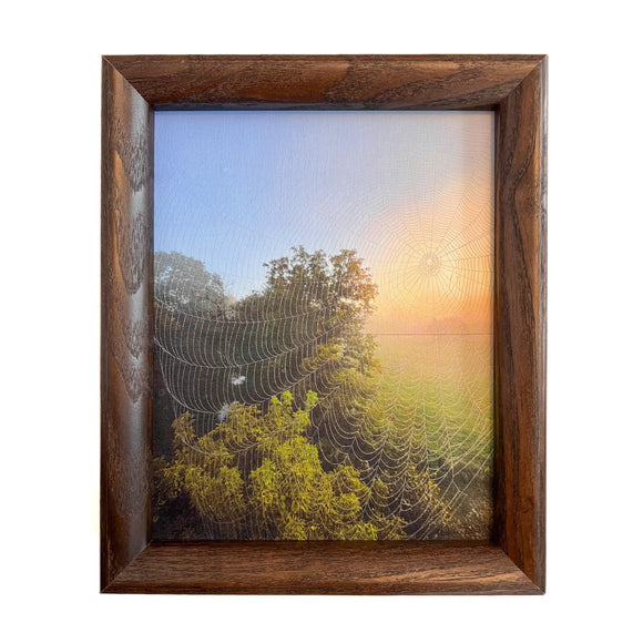 Sun Weaver Framed Canvas Photo Art By Hallie Bear