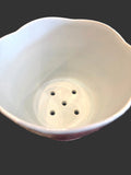 Flower Pot by Jenni Brant