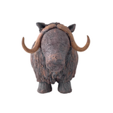 Musk Ox by Sharon Stelter