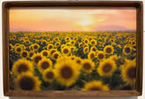 Times Infinity Framed Photo Art By Hallie Bear