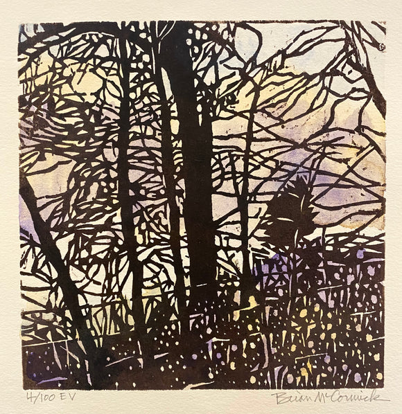 Trees in Fading Light 4/100 by Brian McCormick