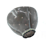 Sweets Bowl by Jenni Brant