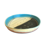 Low Bowl by Delores Fortuna