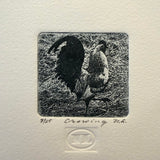 Crowing 3/25 by Nancy Lindsay