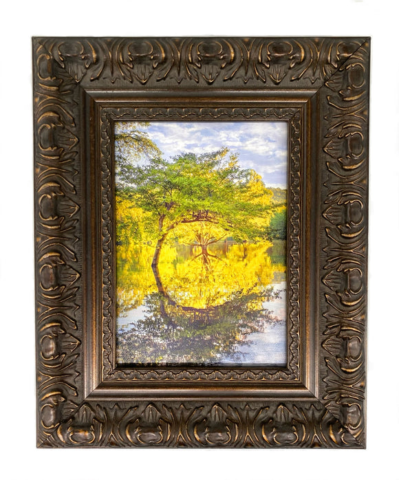 Reflecting Tree Framed Canvas Photo Art By Hallie Bear