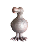 Dodo Bird by Sharon Stelter