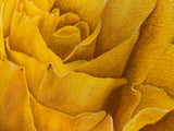 Yellow Rose by Lynn Berg