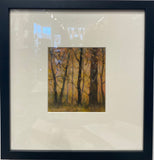 Western Slope by Nancy Lindsay