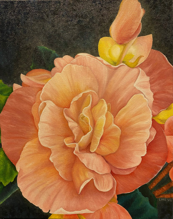 Begonia by Lynn Berg