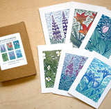Wildflower Boxed Greeting Cards by Nan Onkka