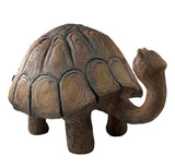 Turtle by Sharon Stelter