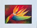 Bird of Paradise Reproduction by JoAnne Hauser Warren