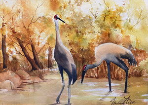 Cranes by Barbara Mathews