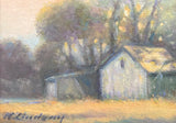 Back Pasture by Nancy Lindsay