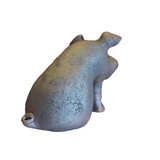 Pig by Sharon Stelter