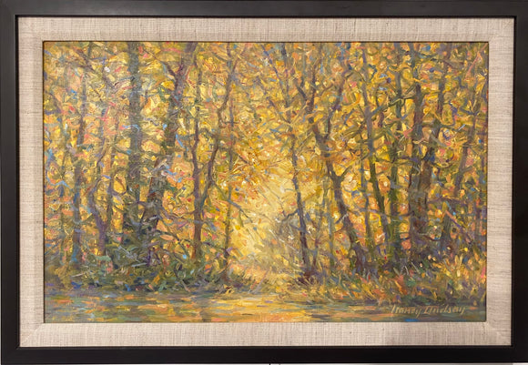 Gentle Stream by Nancy Lindsay