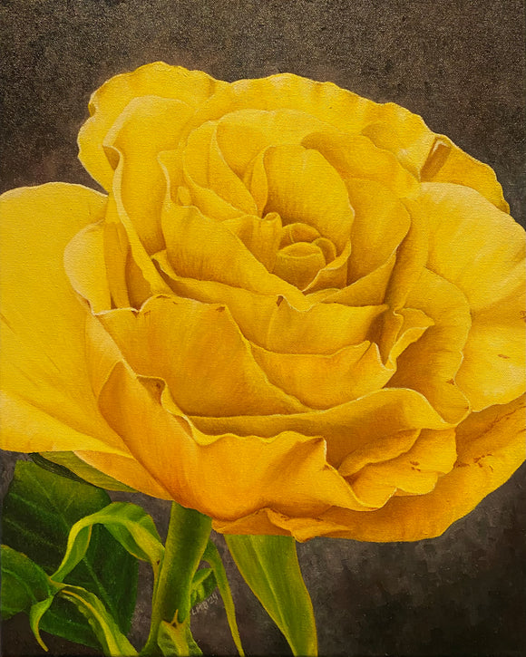 Yellow Rose by Lynn Berg