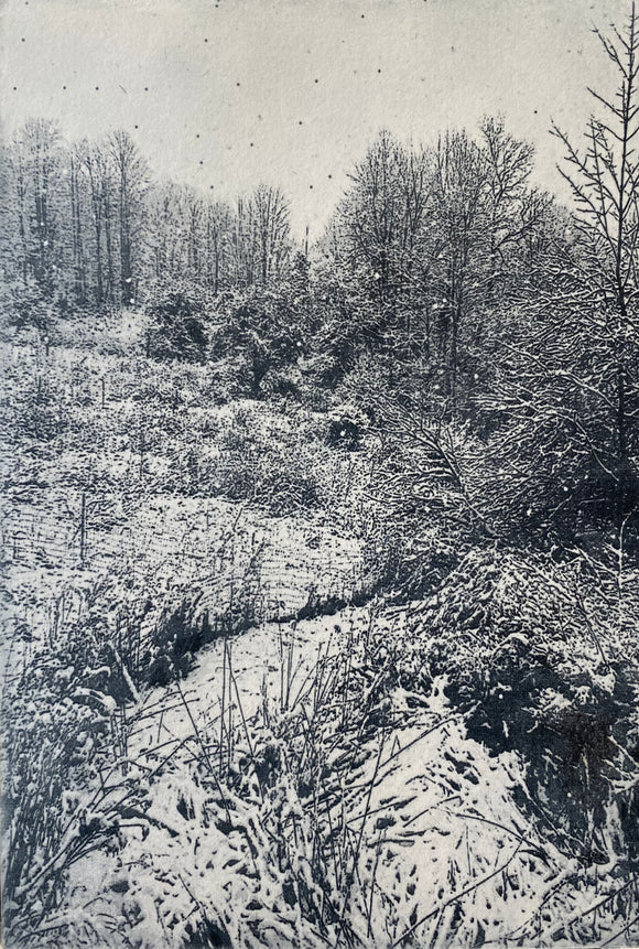 Winter Stream 5/25 by Nancy Lindsay