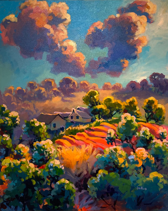 A Promise of Light by Sri Rao