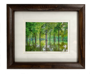 Flooded Woods Framed Photo Art By Hallie Bear