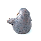 Walrus by Sharon Stelter